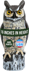 Dalen Large Fake Owl Decoy to Scare Birds Away - 16 in Hand-Painted Great Horned Owl Garden Scarecrow for Natural Pest Control - Fixed Head Design - Secure Upright by Filling with Sand/Gravel Only