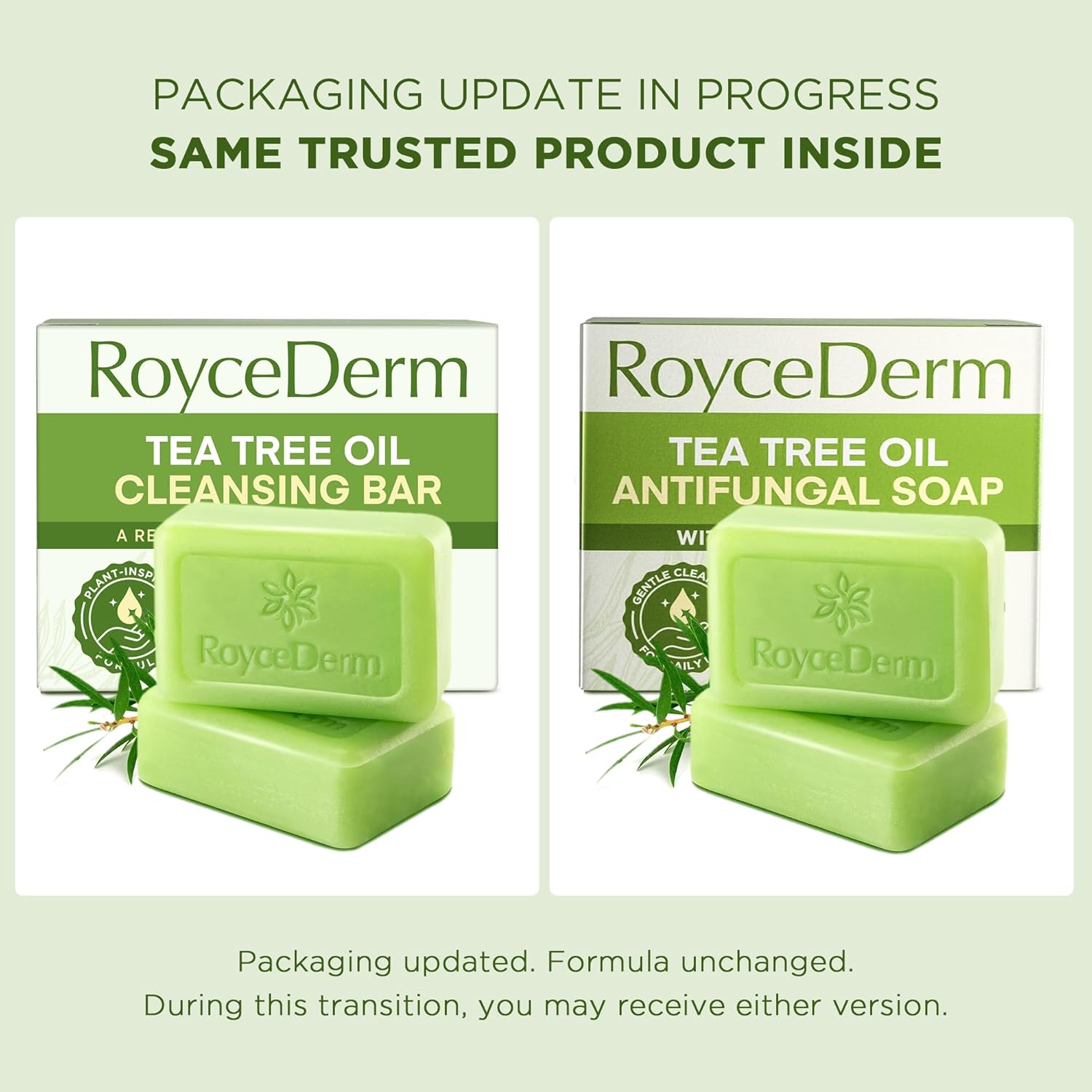 Roycederm Antifungal Bar Soap - Tea tree Oil Soap - Athlete’s Foot Treatment for Jock Itch & Ringworm - Medicated Antifungal Soap with Clotrimazole 1% - Tea Tree Oil Scent, 1 Pack