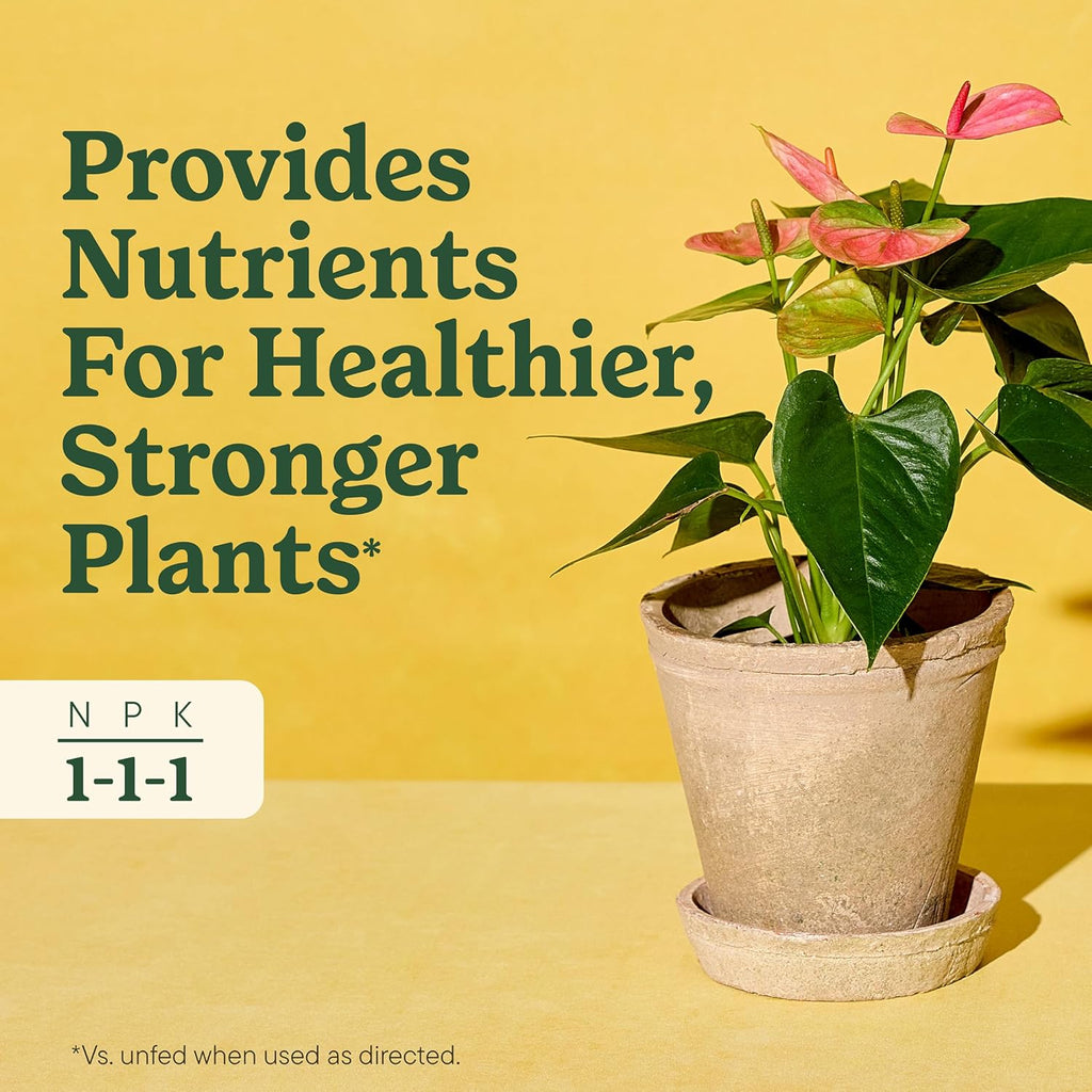 Miracle-Gro Indoor Plant Food for All Plants, Liquid Plant Food for Houseplants, Flowers, Vegetables, Herbs, and More, 8 fl. oz., 2-Pack
