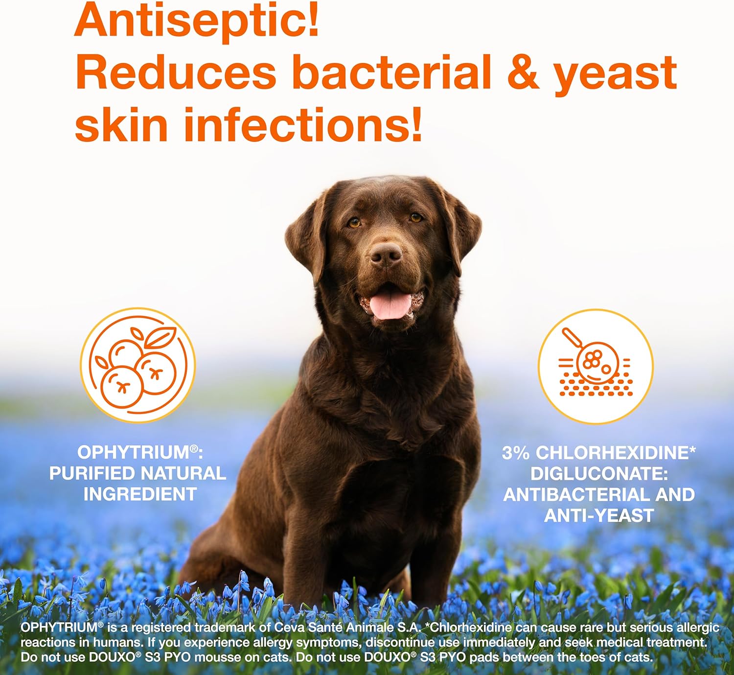 Douxo S3 Pyo Pads, Contains 3% Chlorhexidine & 0.5% Ophytrium, Antiseptic & Hydrating, For Bacterial or Yeast Skin Infections, For Dogs and Cats, 30 Pads